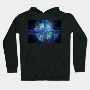 Fractal spider web with flowers Hoodie